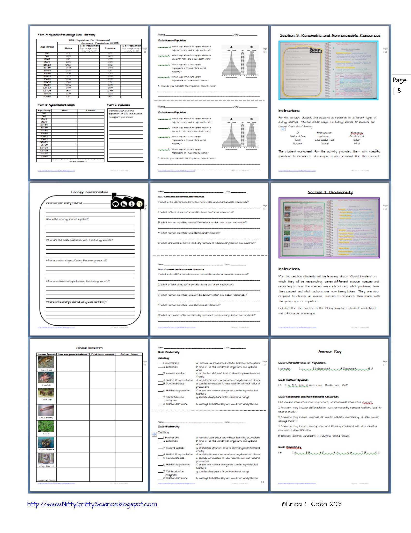 Conservation Of Energy Worksheet Answers