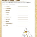 Decode The Energy Pyramid View 6th Grade Worksheets SoD School Of