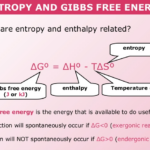 Definition Of Entropy Extremehoreds