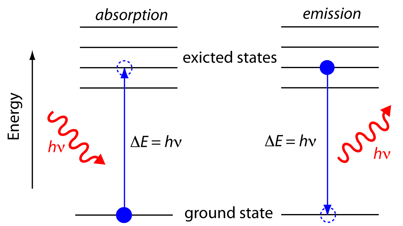 Does An Electron Move From One Allowed Orbit To Another Only When It 