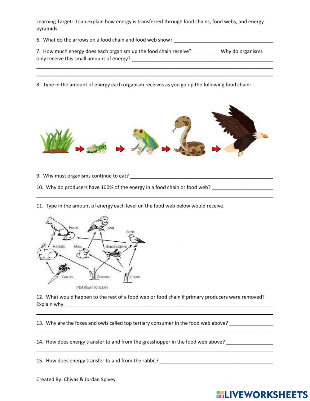 Ecological Pyramids Worksheet Answer Key