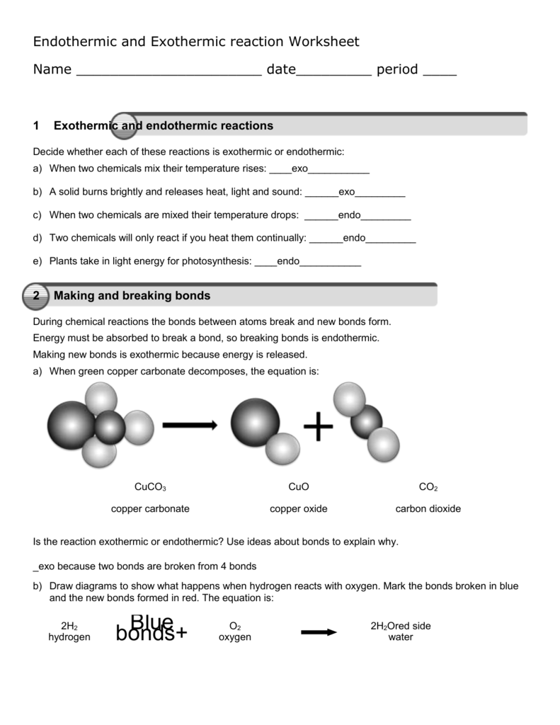 Endothermic Vs Exothermic Worksheet Answers Free Download Qstion co