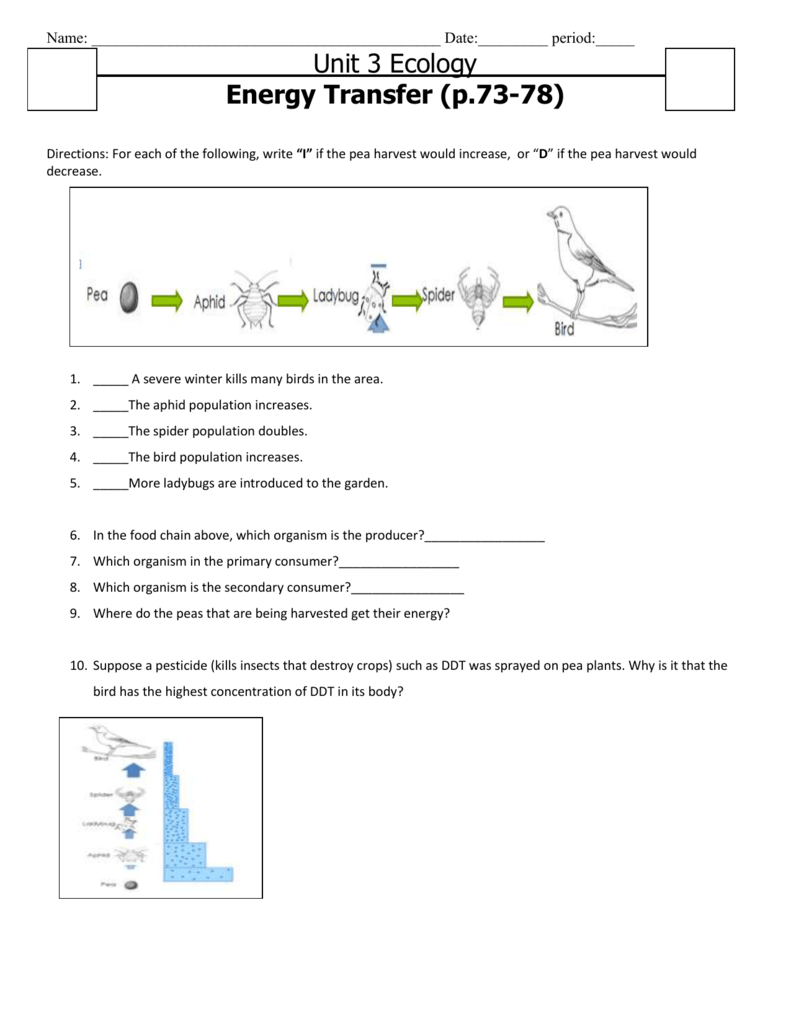 Energy Flow Food Chain Worksheet E Db excel