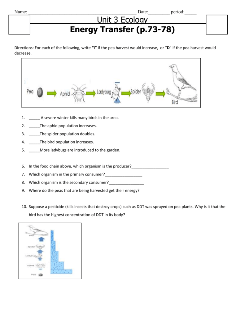 Energy Flow Food Chain Worksheet E