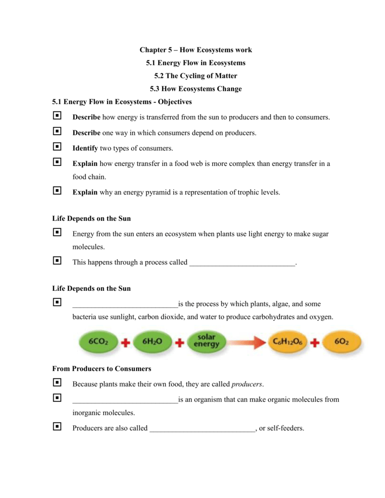 Energy Flow In Ecosystems Answers Consumers Energy Xcel Db excel