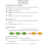 Energy Flow In Ecosystems Answers Consumers Energy Xcel Db excel