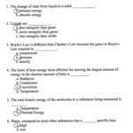 Energy Flow In Ecosystems Worksheet Archbold Biological Station