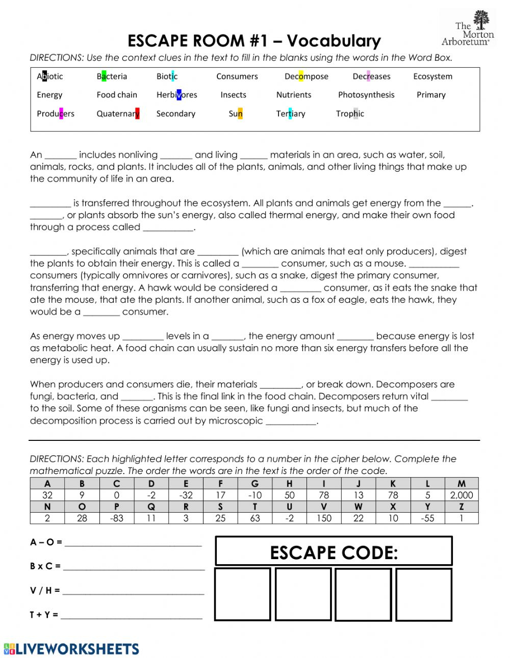 Energy Food Chain Vocabulary Worksheet