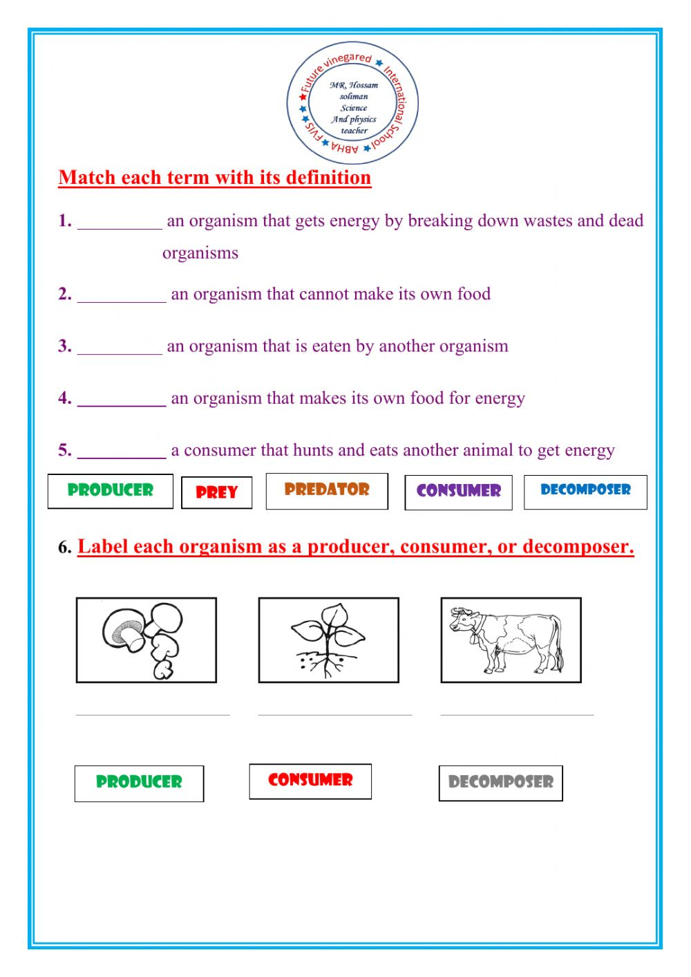 Energy Roles In Ecosystem Worksheet