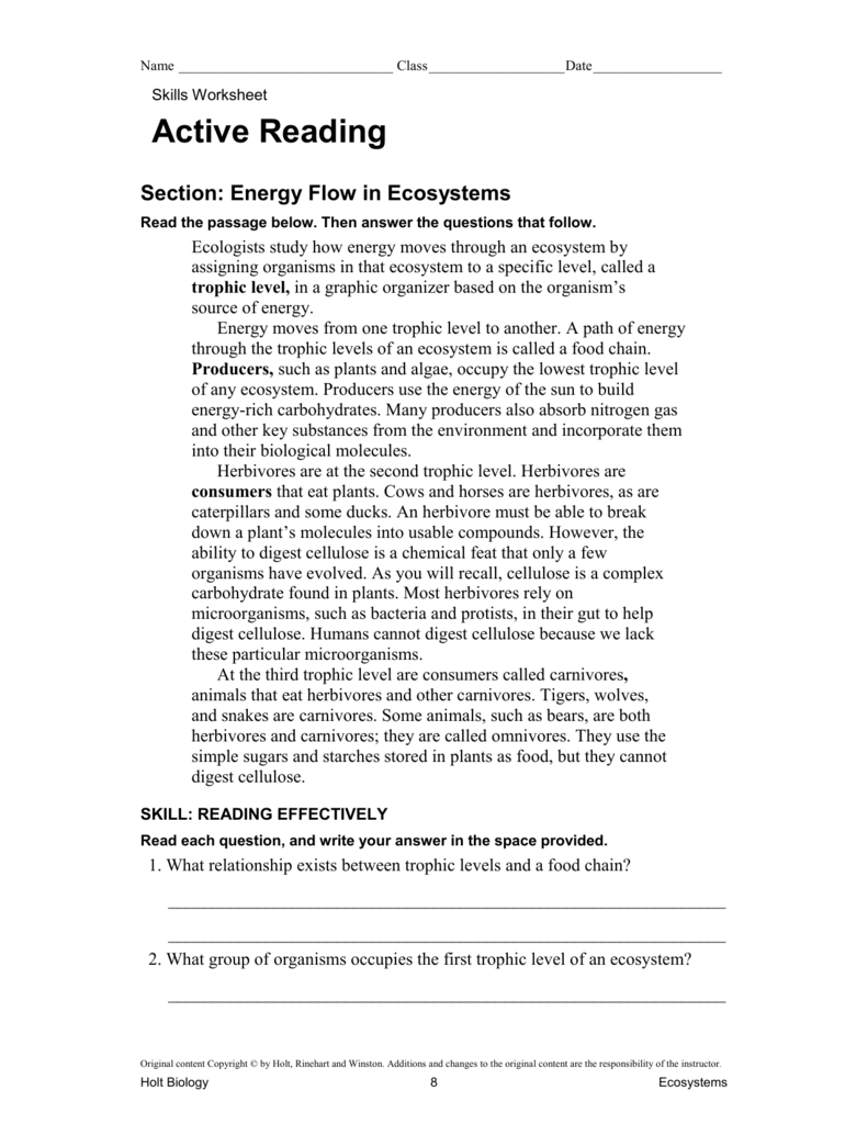 Flowingflaminggo Energy Flow Worksheet Answer Key