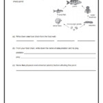 Food Web Energy Transfer Worksheet Free Download Gambr co