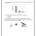 Food Web Energy Transfer Worksheet Free Download Gmbar co