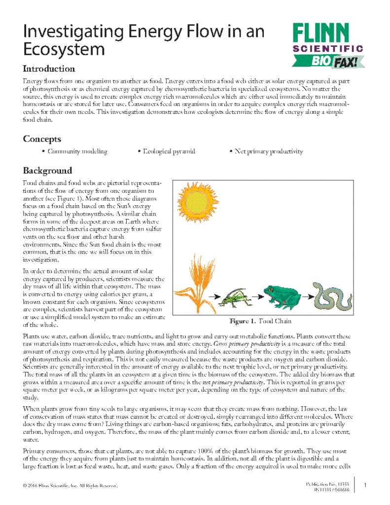 Free Activity Investigating Energy Flow In An Ecosystem Energy Flow 