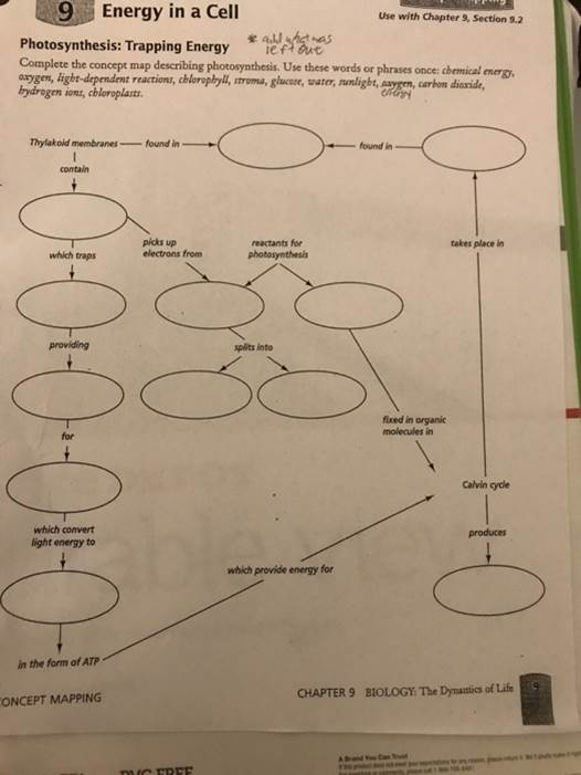  Get Answer Energy In A Cell Use With Chapter 9 Section 9 2 