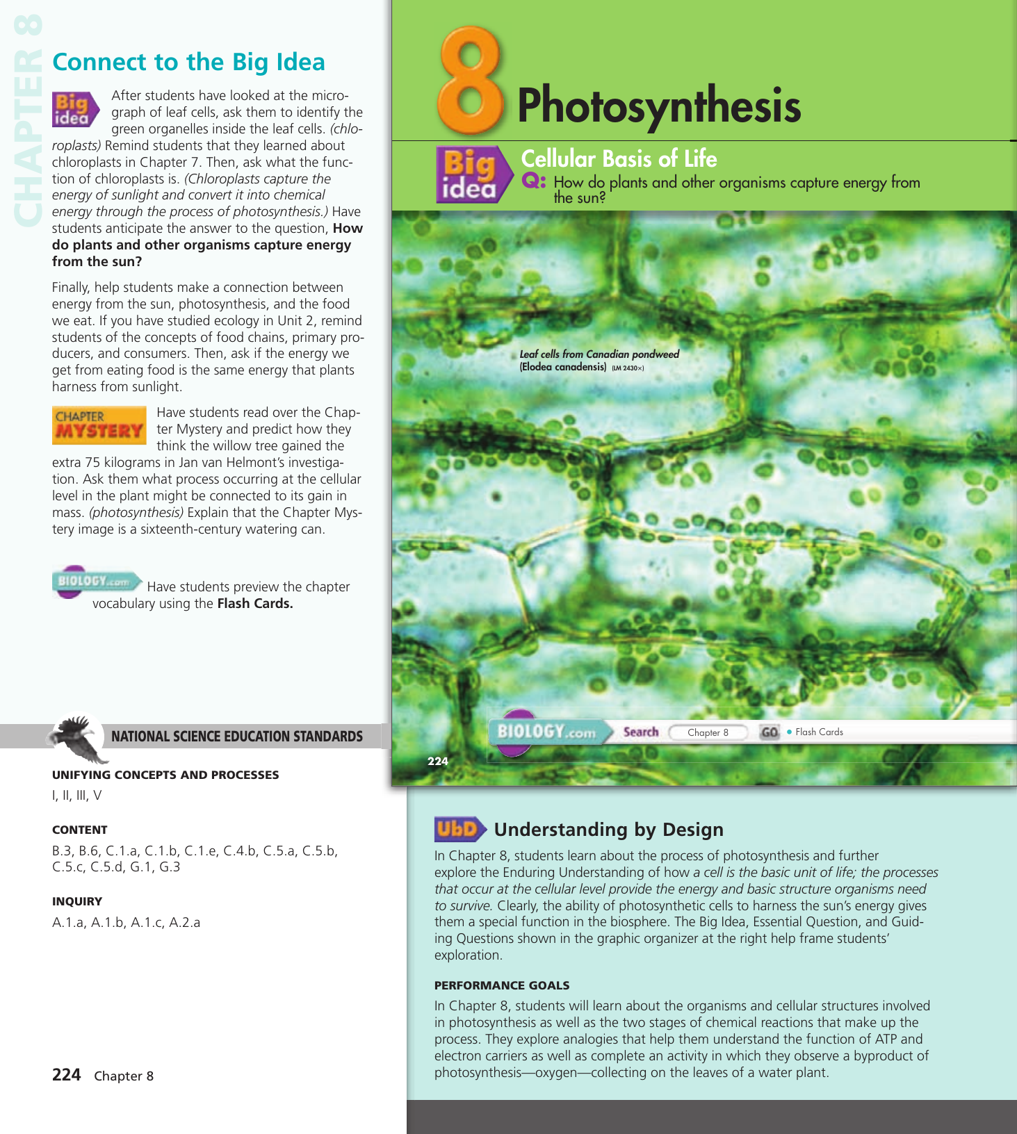 How Do Chloroplasts Capture Energy From The Sun Worksheet Answers 