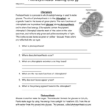 Photosynthesis Making Energy Worksheet Answers Xcel Energy Db excel