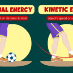 Potential And Kinetic Energy Law Of Conservation Of Energy Video