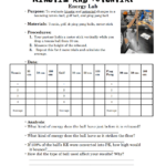 Potential And Kinetic Energy Worksheet 6th Grade Pdf Kidsworksheetfun