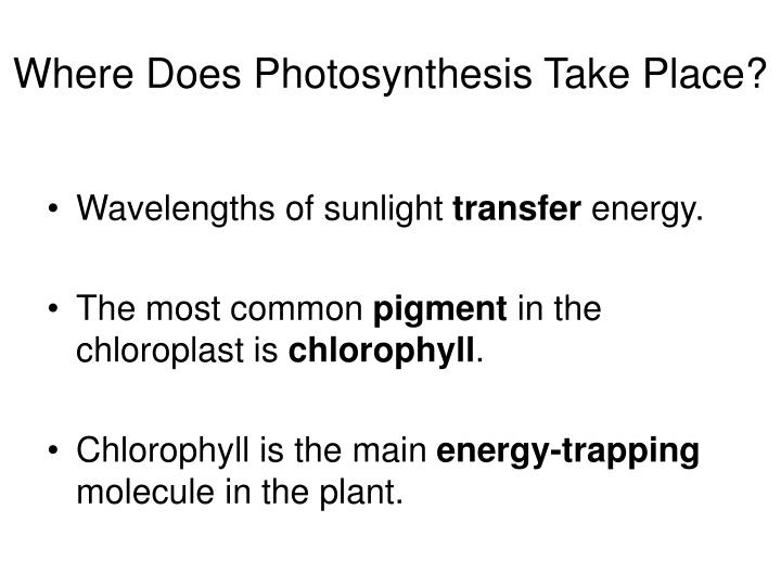 PPT Section 9 2 Photosynthesis Trapping The Sun s Energy PowerPoint 