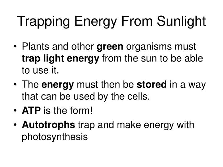 PPT Section 9 2 Photosynthesis Trapping The Sun s Energy PowerPoint 