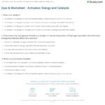 Quiz Worksheet Activation Energy And Catalysts Study