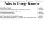 Roles In Energy Transfer Worksheet WordMint