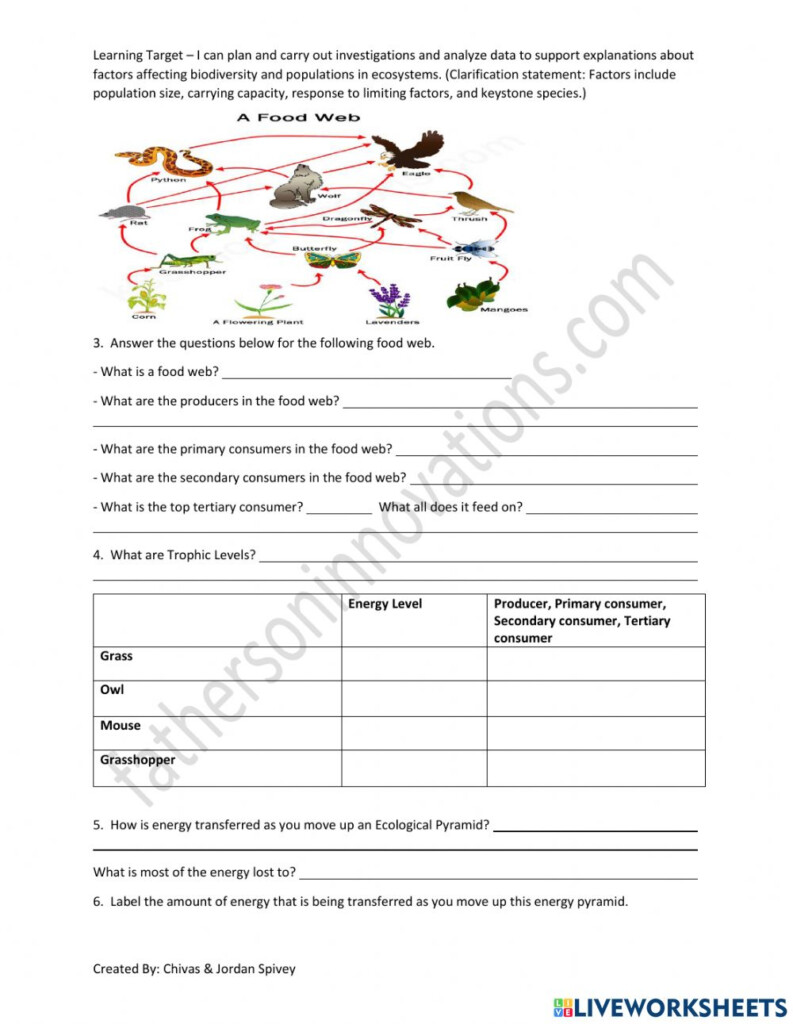 Trophic Levels Energy Transfer Video Notes With Quiz Worksheet