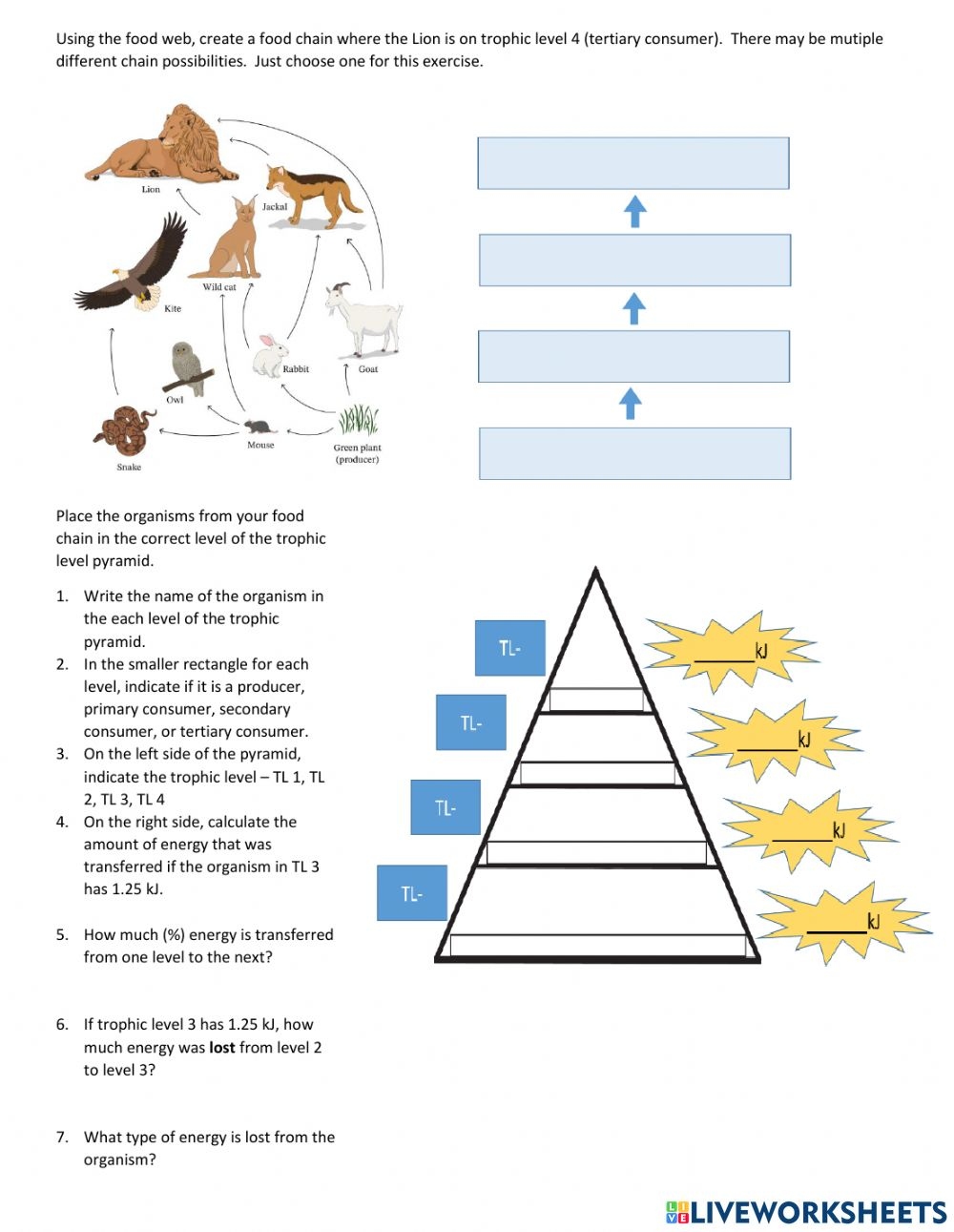 Trophic Levels Interactive Worksheet