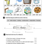 Unit 5 Matter And Energy Worksheet