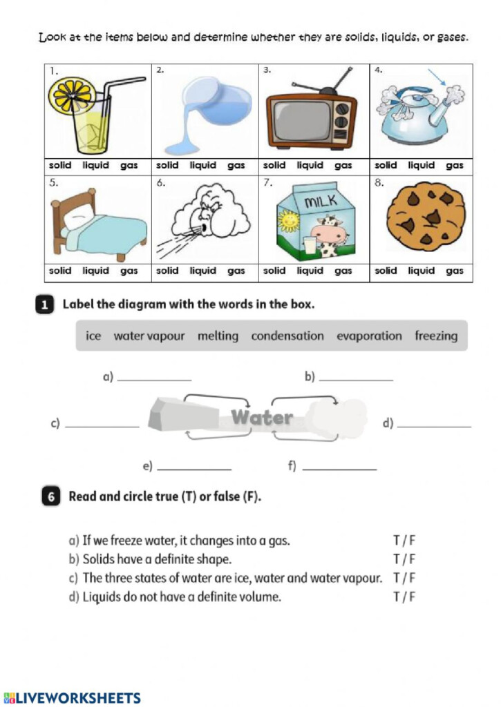 Unit 5 Matter And Energy Worksheet