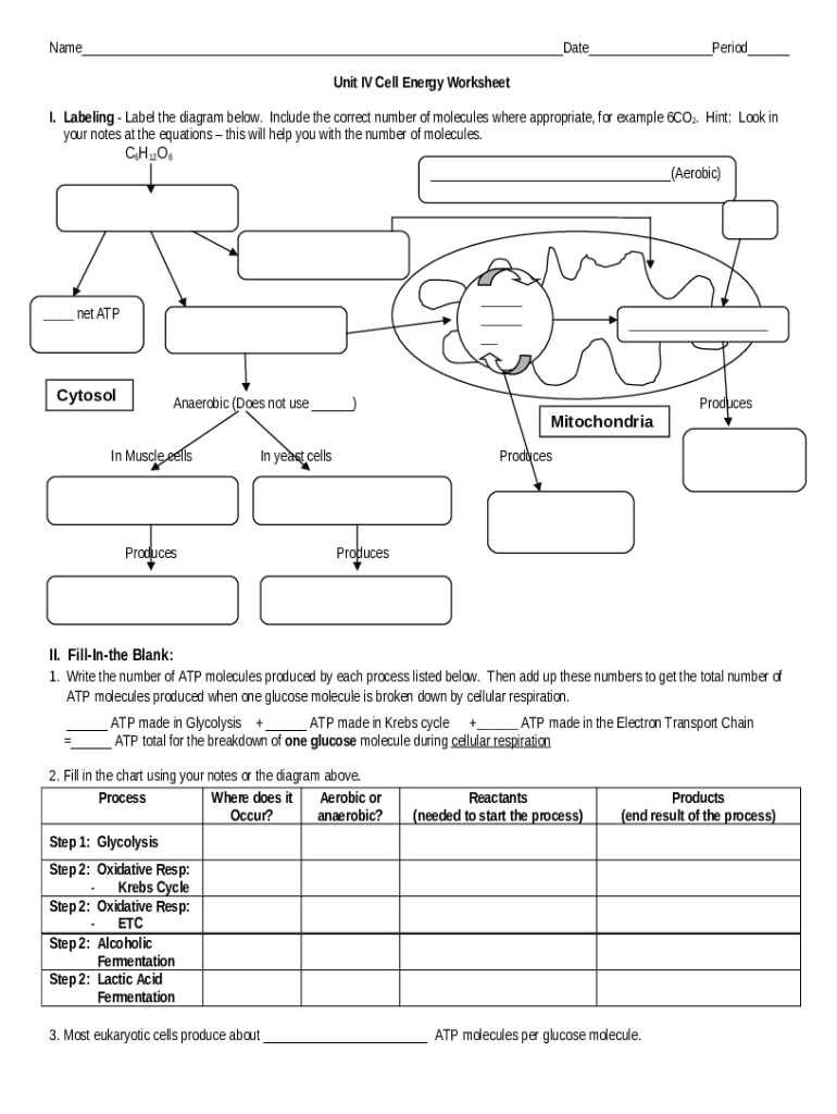 Unit Iv Cell Energy Worksheet Doc Template PdfFiller