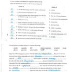 Worksheet Chapter 9 Energy In A Cell Answers Section 1 Db excel