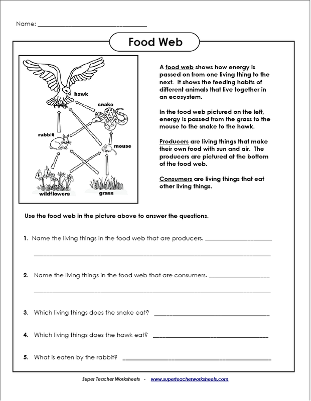 Worksheets Allie Maloney s EDUG 812 Website Food Web Worksheet 